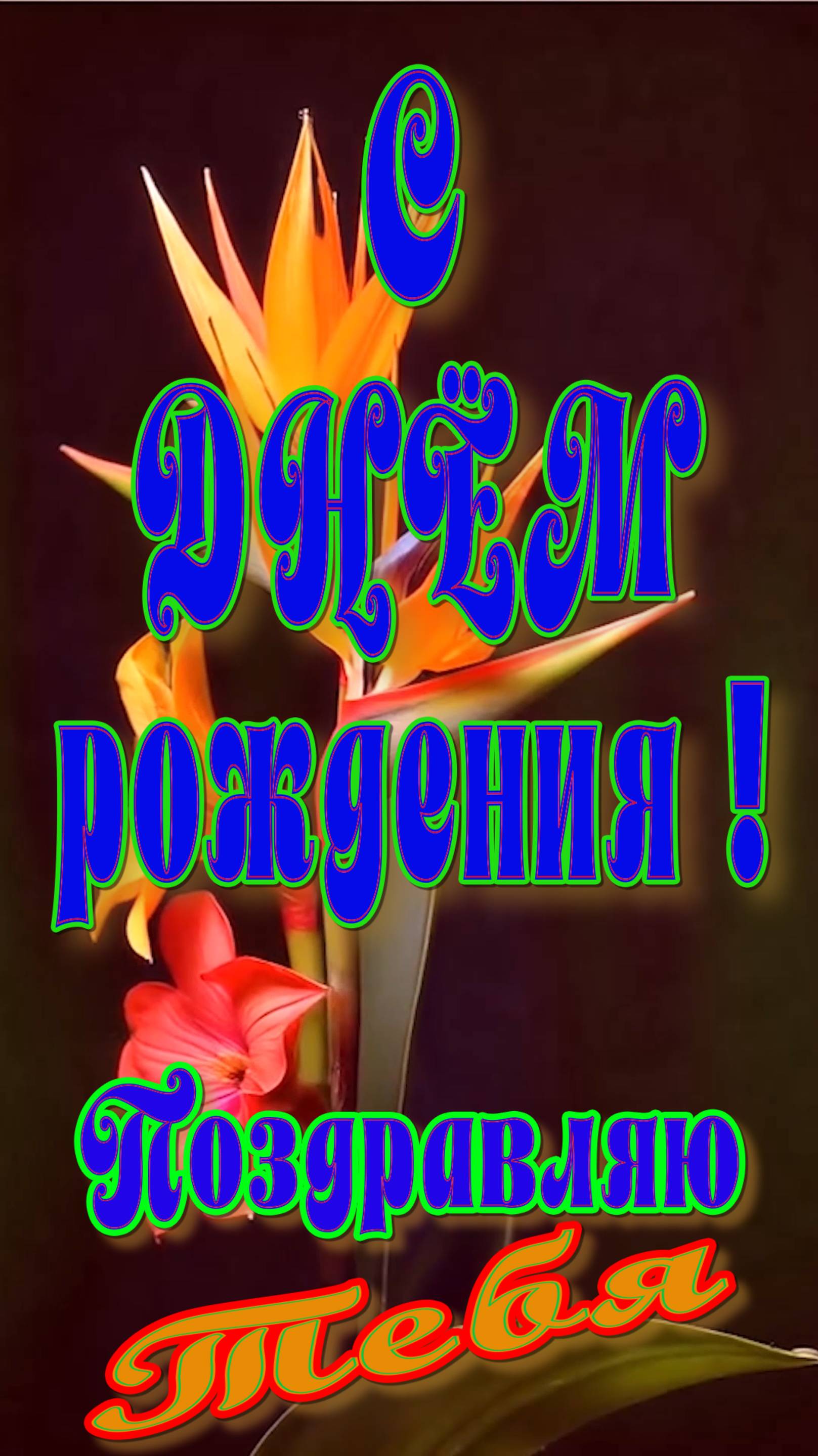 С Днём рождения !