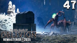ПУТЬ К БОГАТСТВУ (47) ► The Elder Scrolls IV Oblivion Remastered