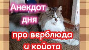 Анекдот дня.
