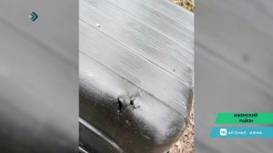 В Ижемском районе медведь опрокинул мотобуксировщик в лесу