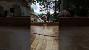 2025 06 29 ФОТО ДНЯ 4К.mp4