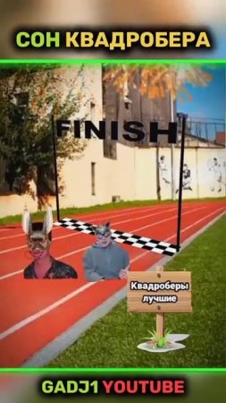 Сон квадробера
