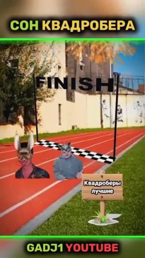 Сон квадробера