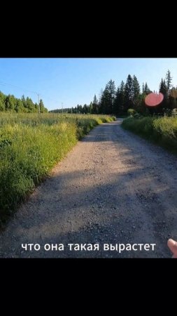 «Секретная точка»