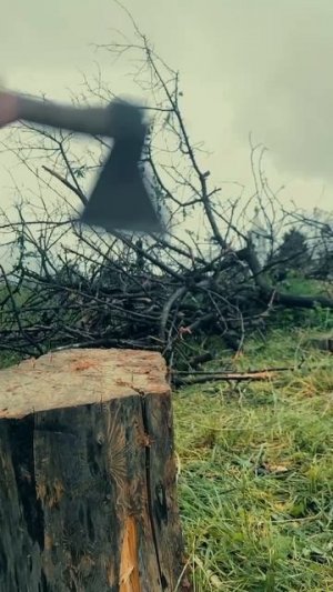 Призыв к созданию добровольческого отряда в помощь Рождественскому казачьему куреню