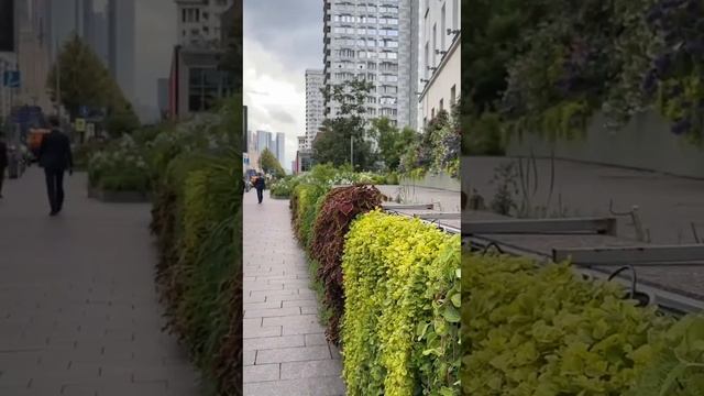 Лето в Москве тоже бывает 🌞