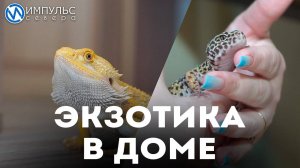 Экзотика в доме