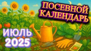 ЛУННЫЙ ПОСЕВНОЙ КАЛЕНДАРЬ ОГОРОДНИКА НА ИЮЛЬ 2025