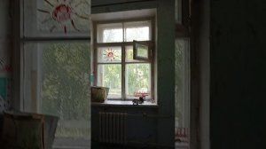 Комната в которой живу я и две собаки