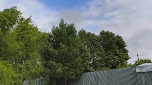 Трое суток шёл дождь, выглянуло солнце.