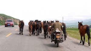 ⛰🛣Шоссе Дуку: путешествие по хребту дракона