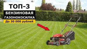 ТОП-3. Бензиновая газонокосилка до 30 000 рублей