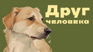 Факты о собаках под процесс рисования