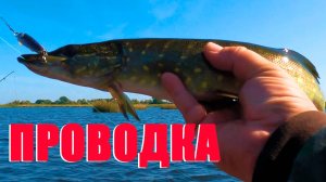 «Ловля щуки»;