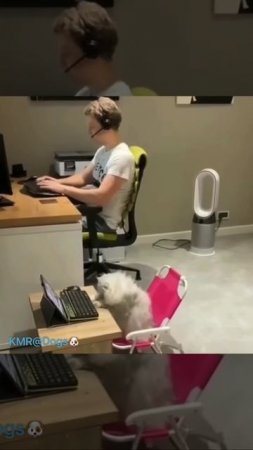 Филонящий сотрудник кол-центра😂