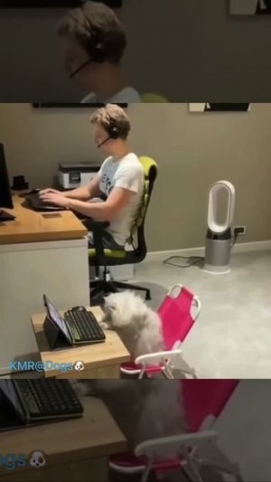 Филонящий сотрудник кол-центра😂