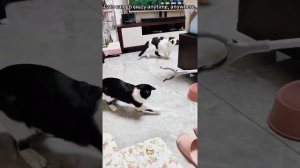 1000052491.mp4