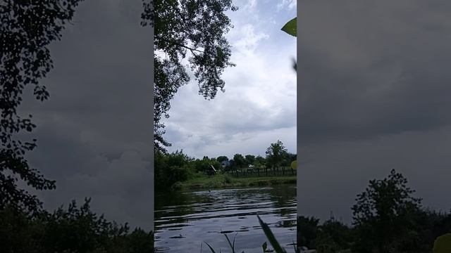 плавание