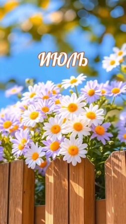 Привет июль!