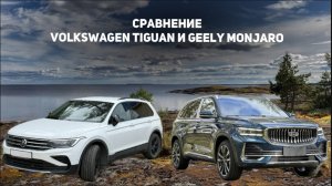Сравнение Джили Монжаро/Geely Monjaro и Volkswagen Tiguan/Фольксваген Тигуан + Отзыв владельца