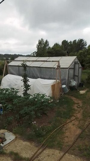 1 июля 2025 года.