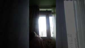 вторая часть у Ксюши Выйди