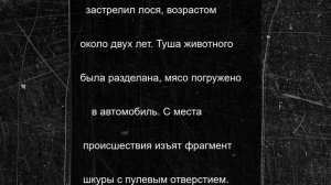 В Смоленской области сотрудники полиции раскрыли факт незаконной охоты