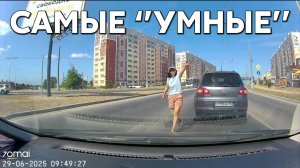 Подборка САМЫХ "УМНЫХ" водителей #1152