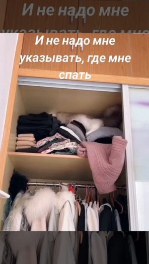 Котейка сам решает,где спать,все остальное неважно 🐈❤️😻🤩