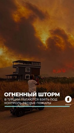 В Турции пытаются взять под контроль лесные пожары