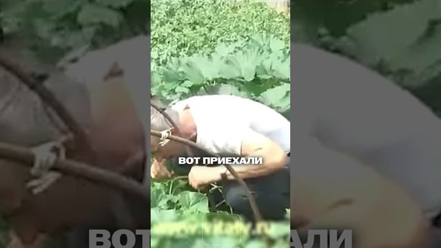 Боль над коленом? Вот что делать!
