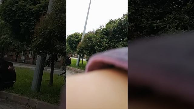 VID_20250701_094828