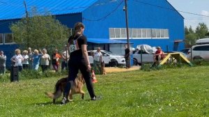 2 Отл. СС TOTOSHA Di Fiamma Vivo +++ №62. КЧК БРОННИЦЫ 24 мая`25 Моно немецких овчарок