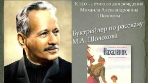 Шолохов М. "Нахалёнок"