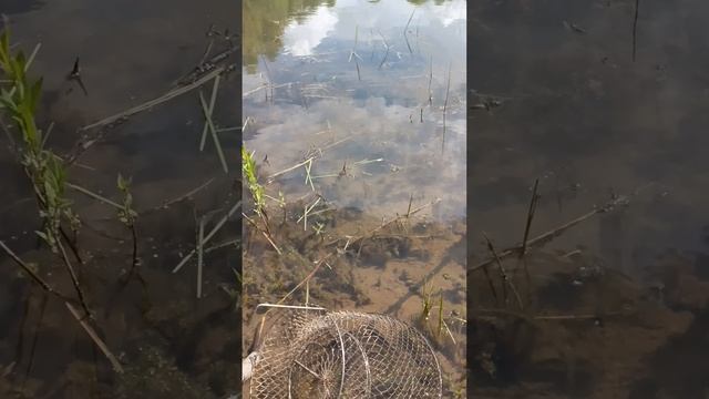 1000079397.mp4