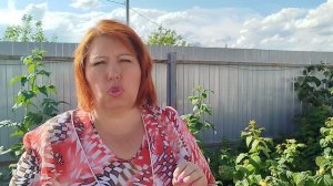 Какая малина самая сладкая?