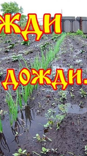 ВОТ И ВСЁ . ТЕПЛА НЕ БУДЕТ ( ЛИЧНЫЙ АРХИВ )