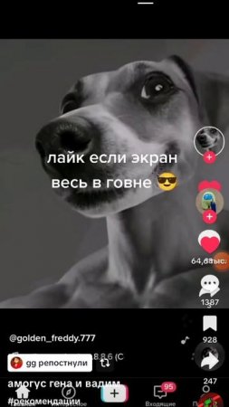 Тик ток2