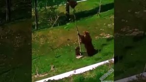 КОГДА  М А М А ... пришла с РОДИТЕЛЬСКОГО СОБРАНИЯ ....))))) !!!!