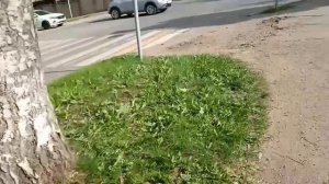 Городские истории: удивительные открытия на вечерней улице с Путь студента до вуза