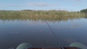 База Тридевятое Царство часть 2. Рыбалка на Залахтовском заливе Чудского озера.