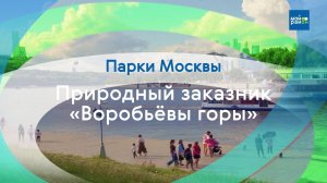 Парки в деталях: Ландшафтный парк «Воробьёвы горы»