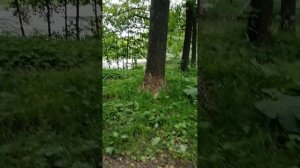 VID_20250701_172146