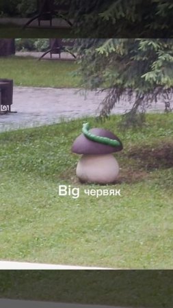 Вся неправда