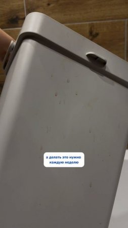 а вы моете мусорное ведро?