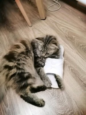 приехала в детский мир в Тимашевске