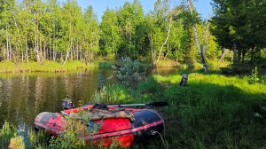 Плотва мохтик на поплавочную удочку.