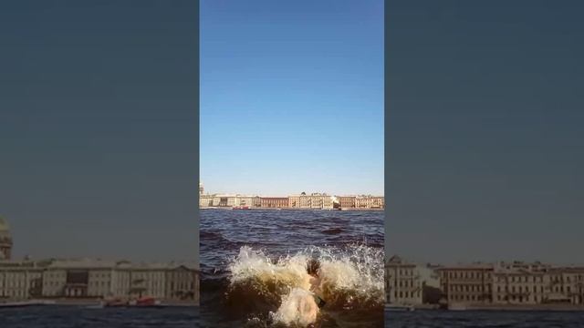 КУПАНИЕ В НЕВЕ 2 ИЮЛЯ 2025 ГОДА