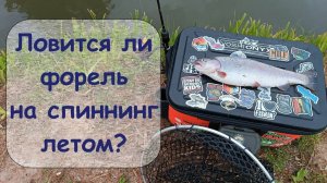 ловится ли форель на спиннинг летом?