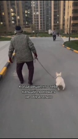Суставы,кости,зубы